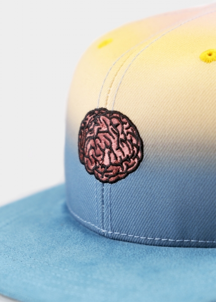 "dicht&ergreifend: Hirncabrio" - ombre (Snapback)